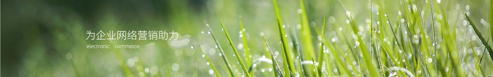 ҶƼ޹˾